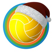 沙滩排球手游官方版 v1.2.8 安卓版