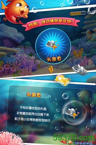 大鱼吃小鱼3手机版下载 v1.00.01 官网安卓版 3
