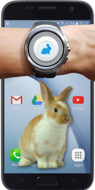 手机屏幕养兔子中文版 v1.0.0 安卓版 1