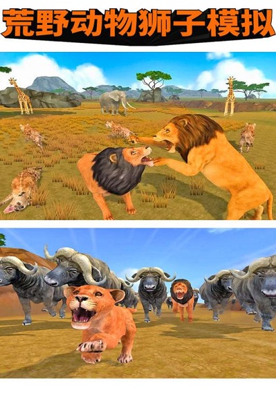 荒野动物狮子模拟游戏 v1.0 安卓版3