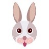 玉兔传app可提现 v1.0.3 安卓版