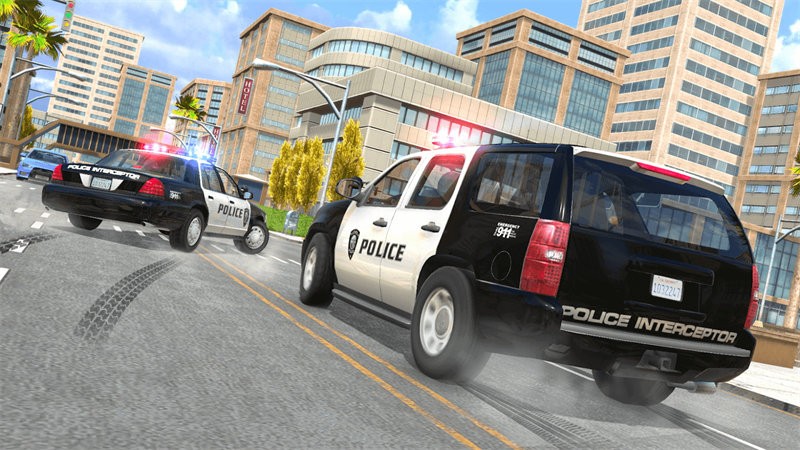 警车巡逻驾驶3d游戏 v1.0 安卓版 4