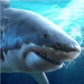 深海捕猎者游戏官方版最新版下载