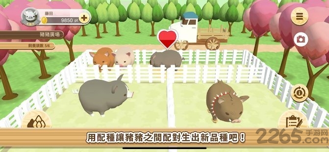 养猪场3D游戏最新版 v5.27 安卓版 4