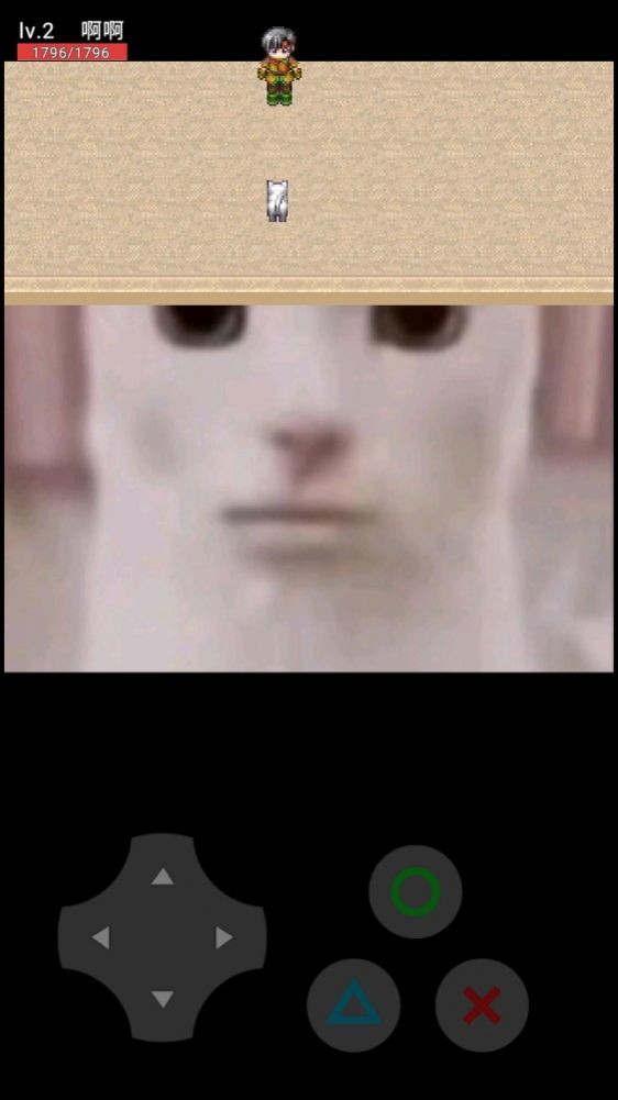 猫咪惊魂免广告版 v0.10 安卓版 3