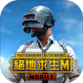 pubg mobile 2.4游戏