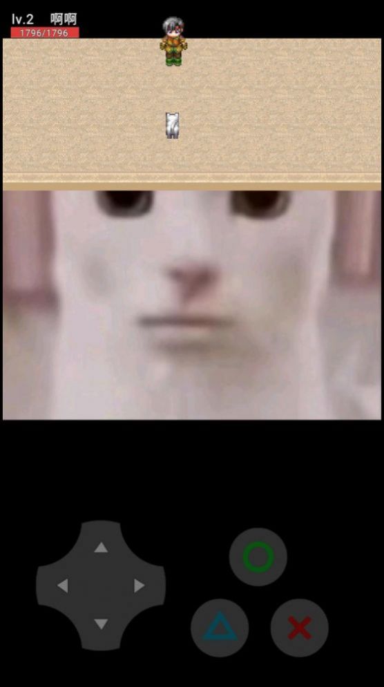 猫猫惊魂中文版 v0.10 安卓版 1