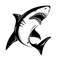 鲨鱼TV去频道解锁版 v5.2.1 安卓版