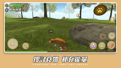 可爱萌宠世界游戏最新版 v1.0.5 安卓版 3