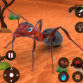 蚂蚁模拟器昆虫进化游戏官方正版下载