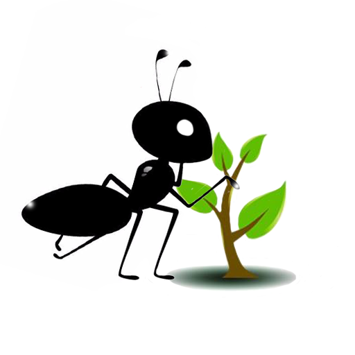 磁力搜索 - bt蚂蚁种子神器