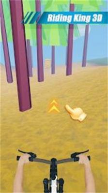 骑行王3D游戏正版 v1000 安卓版3