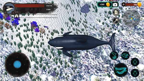 虎鲸模拟器官方正版 v1.1.0安卓版 3