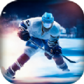 冰球大师挑战赛游戏最新下载 v0.1 安卓版