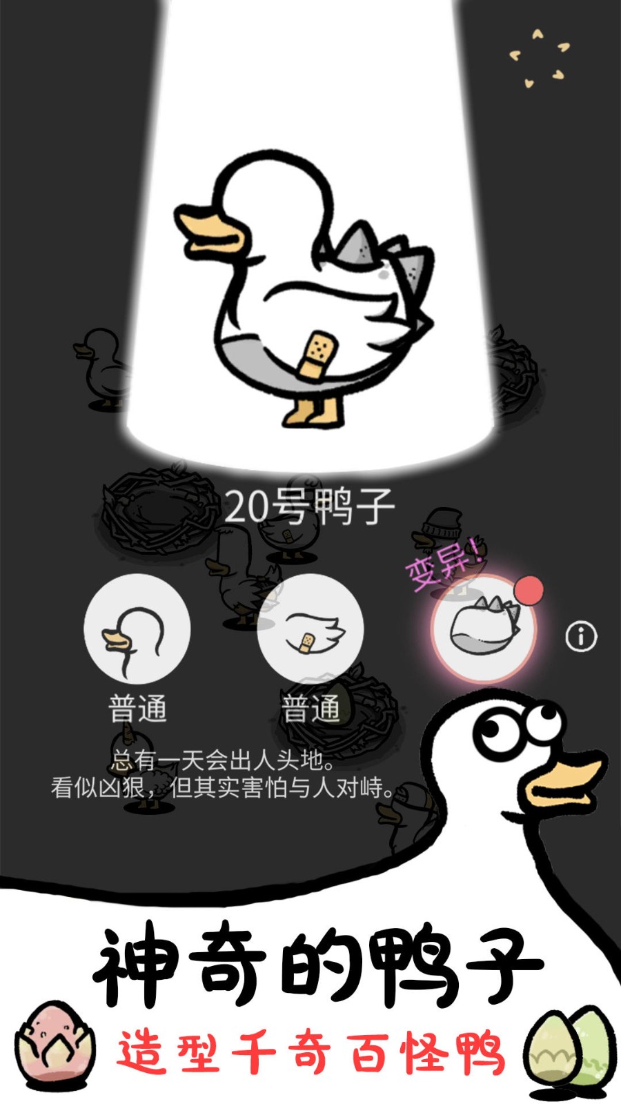 神奇的鸭子手机版下载 v1.2 安卓版 3