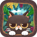 猫咪的秘密森林中文版下载 v1.9.48安卓版