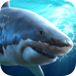 真实模拟鲨鱼捕食游戏 v1.0
