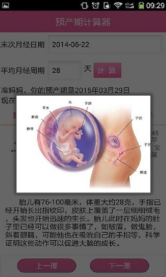 预产期计算器app v1.0 安卓版 3