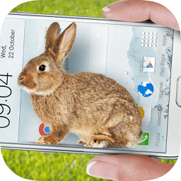 手机屏幕养兔子中文版