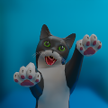 搞笑猫3D最新免费版下载