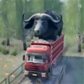 欧洲卡车驾驶模拟器游戏最新版下载安装