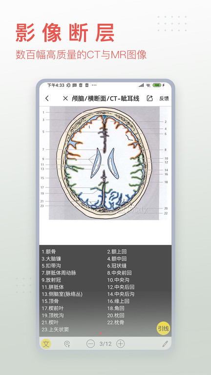 3dbody解剖app中文版 v8.6.70 安卓版 3