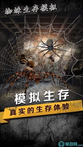蜘蛛生存模拟器下载 v1.9 安卓版 1