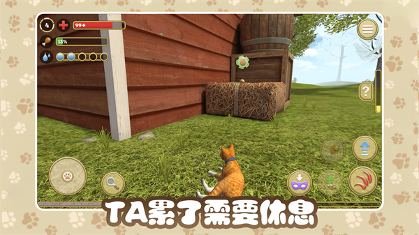 猫咪农场游戏 v1.0.0.2 安卓版 2
