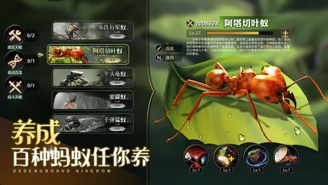 小小蚁国无限资源破解版 v1.39.0 安卓版 2