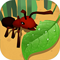 蚂蚁进化3D手机版 v1.0 安卓版