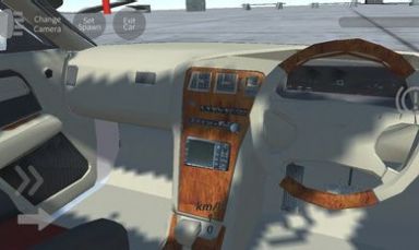 辛迪汽车驾驶模拟器下载手机版 v0.2Alpha 安卓版 2