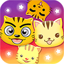 星猫广场app官方版 v2.7.7.0 安卓版