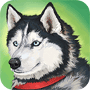 美国Zoom动物免费版 v1.0.0.5 安卓版