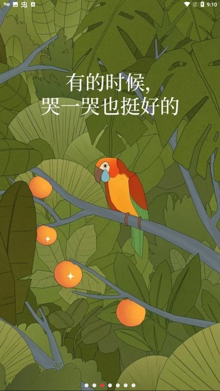 孤独的鸟儿(Bird Alone)手机版 v2.4 安卓版 2