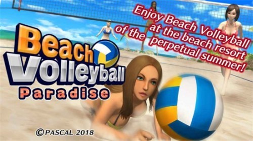 沙滩排球破解版 v1.0.1 安卓版 3