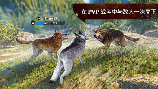 狼族手游正版 v3.1.0 安卓版 3