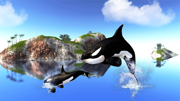 虎鲸模拟器手机版下载 v1.0.9 安卓版 1