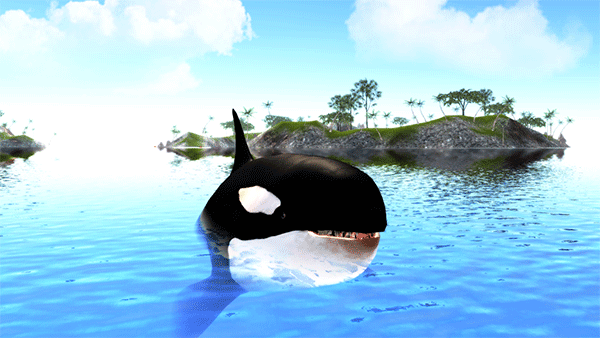 虎鲸模拟器手机版下载 v1.0.9 安卓版 2
