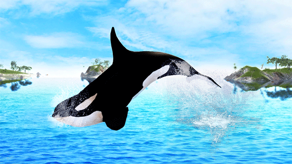 虎鲸模拟器手机版下载 v1.0.9 安卓版 4