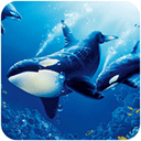 虎鲸模拟器手机版下载