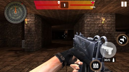 地下杀戮生存者3D官方版下载 v6.2安卓版1