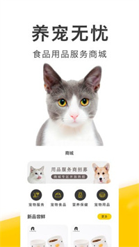 买只宠物官方版下载 V4.0.6 官方安卓版 2