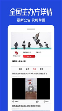 青鸽网官方版下载 vv3.9.19安卓版 2