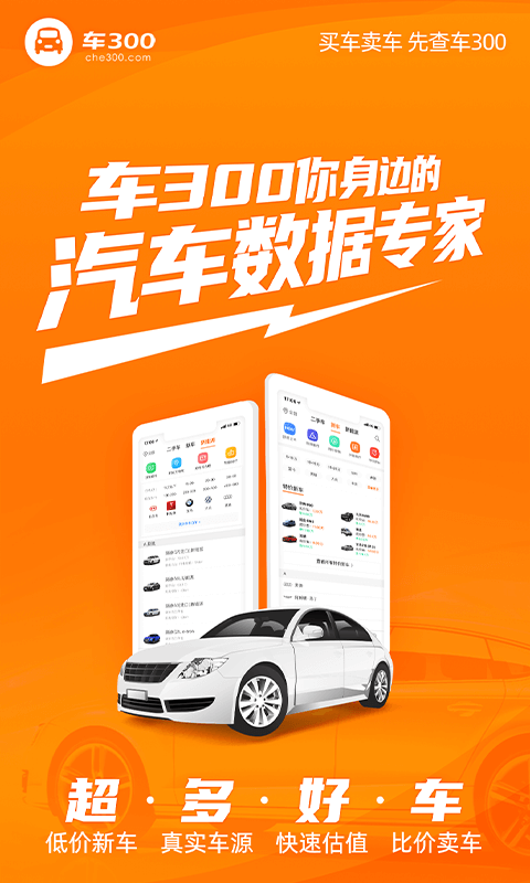 车300二手车下载 v5.3.8.01 3