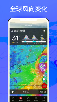 windy气象官网下载 V42.2.3 3