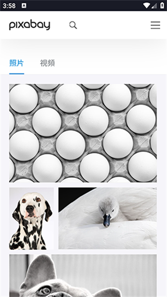 Pixabay手机版下载 v1.2.15.1 安卓版 1