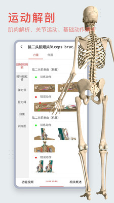 3dbody解剖app免费版 v8.8.22 3