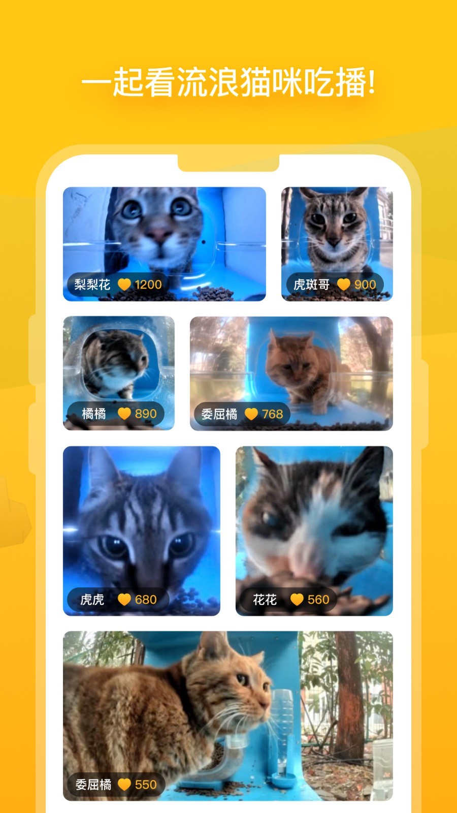 哈啰街猫下载 v1.33.0 2