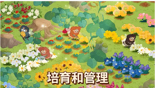 蜜林正版下载 v0.1.62 安卓版 2